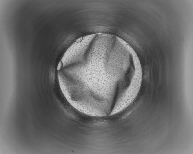 X0000112490206200909141211