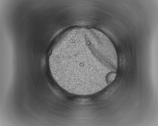 X0000112490208200909141211