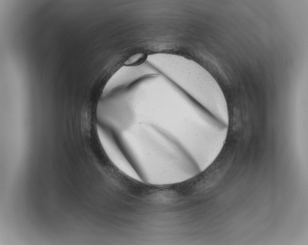 X0000112490210200909141211