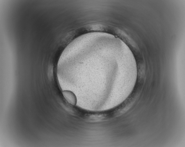 X0000112490213200909141210