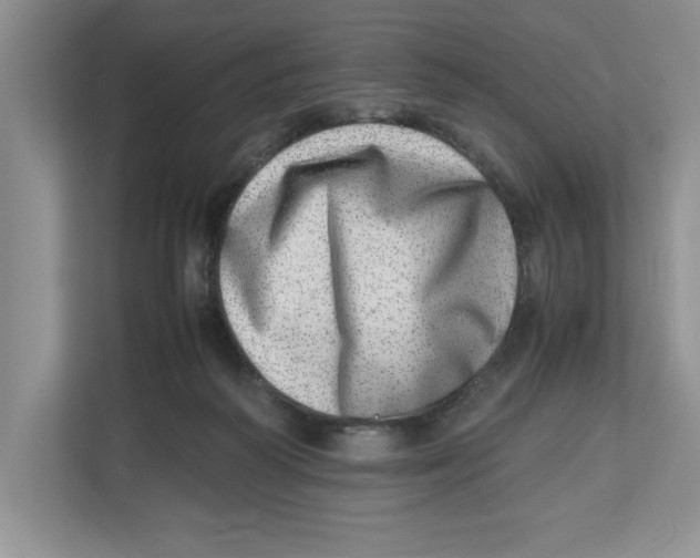 X0000112490218200909141210