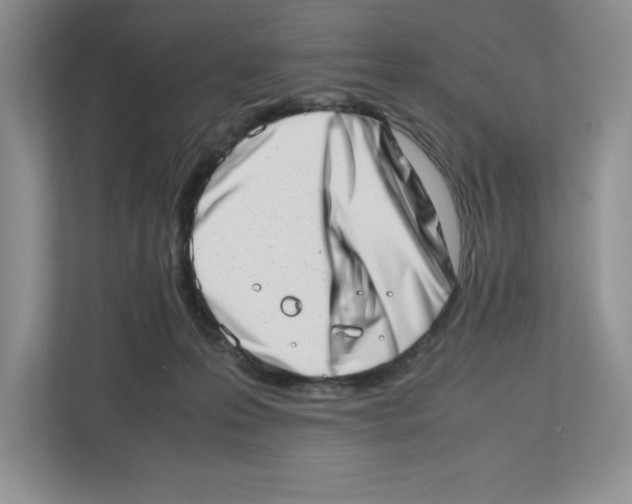 X0000112490223200909141210