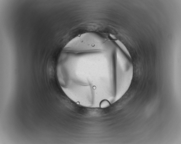 X0000112490226200909141210