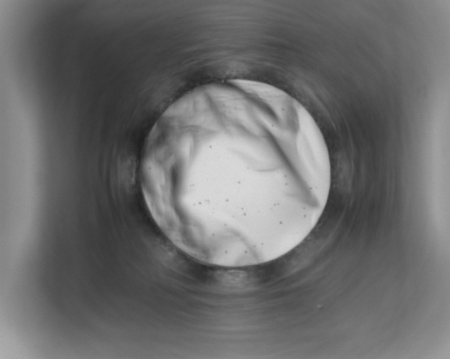 X0000112490230200909141210