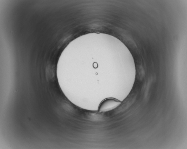 X0000112490232200909141210