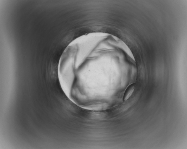 X0000112490234200909141210