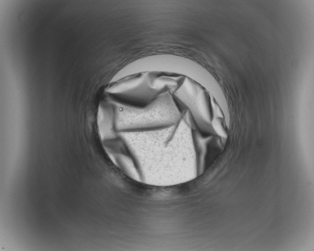 X0000112490235200909141210