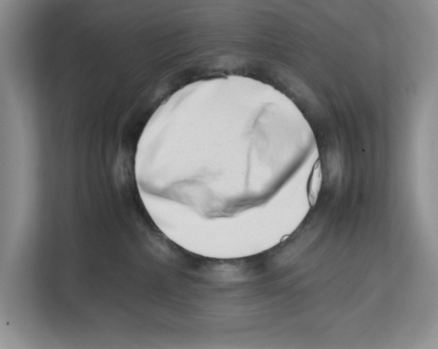 X0000112490236200909141210