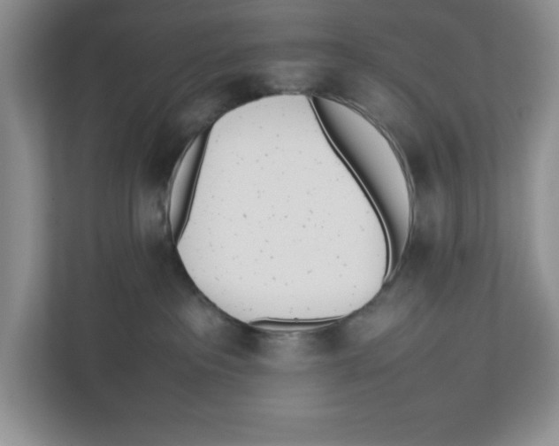 X0000112490237200909141210