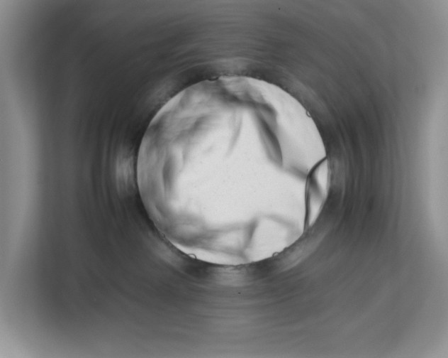 X0000112490238200909141210