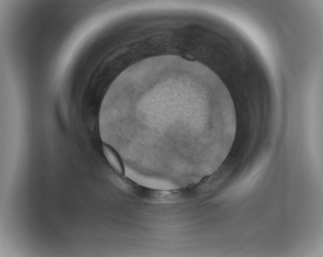 X0000112490239200909141210