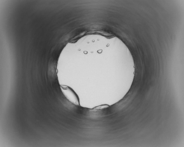 X0000112490240200909141210