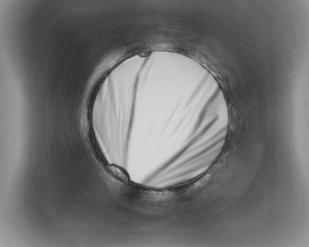 X0000112490245200909141210