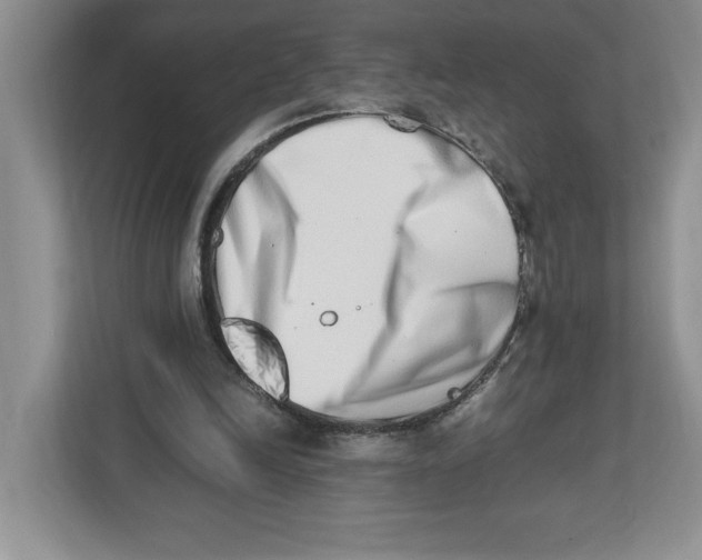 X0000112490246200909141210