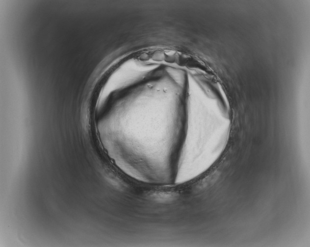 X0000112490247200909141210