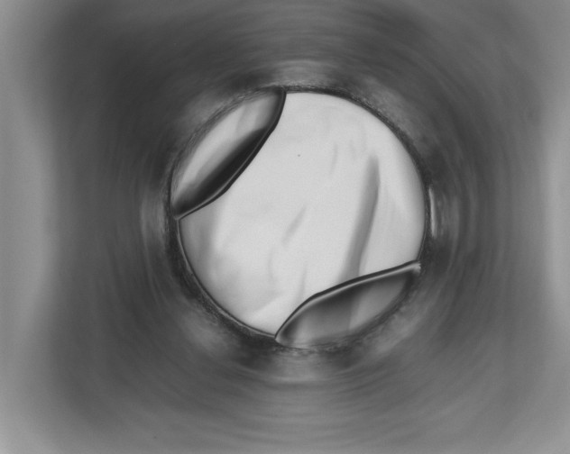 X0000112490252200909141210