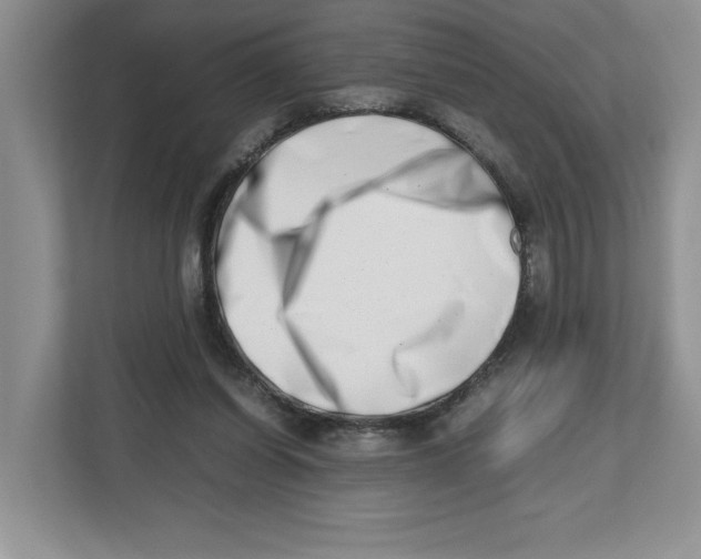 X0000112490254200909141210