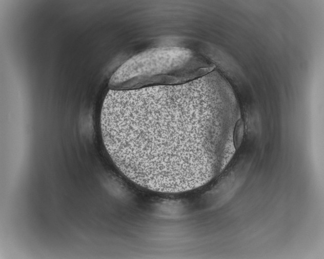 X0000112490256200909141210