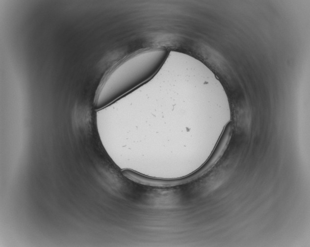 X0000112490260200909141210