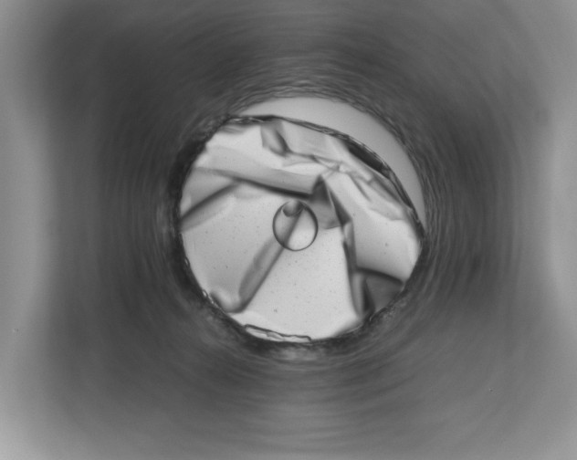 X0000112490272200909141210