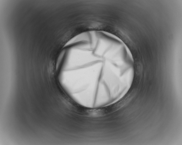X0000112490273200909141210