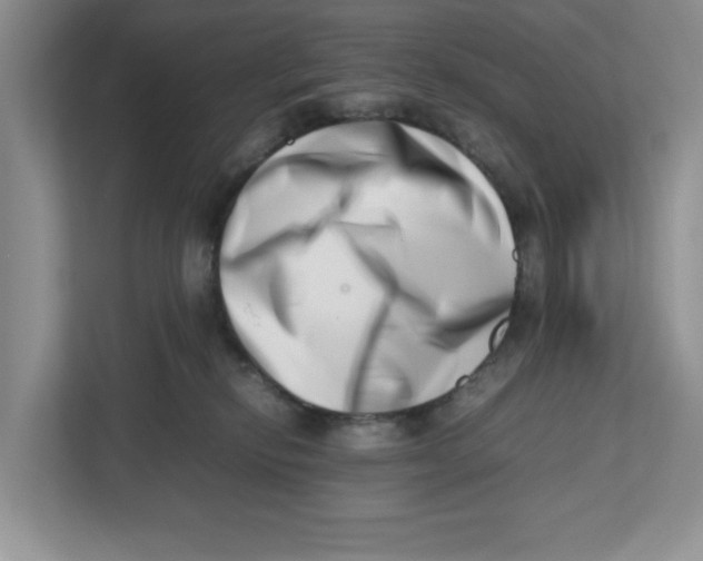 X0000112490278200909141210