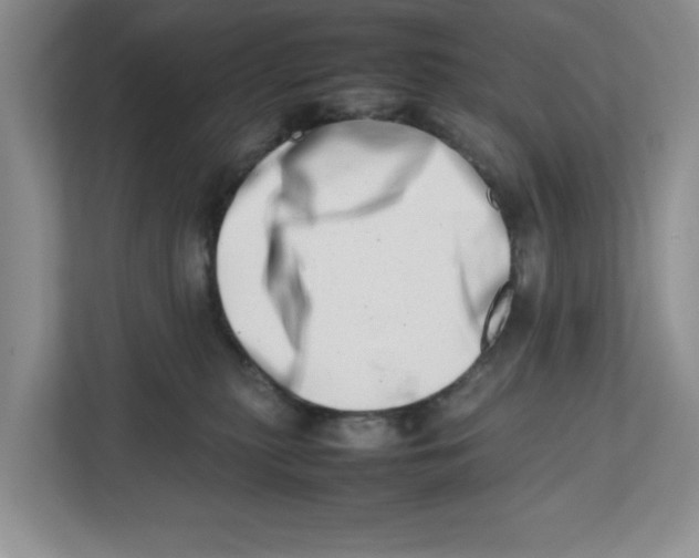 X0000112490279200909141210