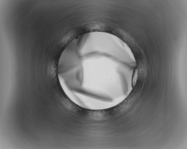 X0000112490282200909141210