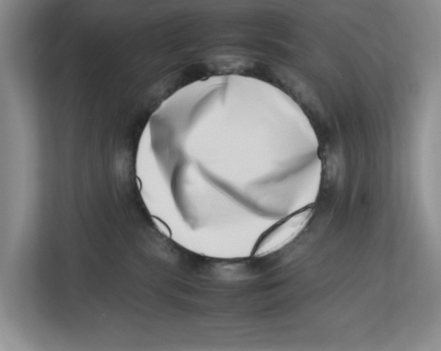 X0000112490283200909141210