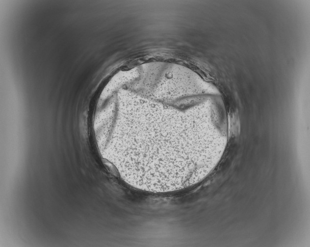 X0000112490291200909141209