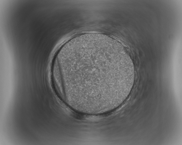 X0000112490293200909141209