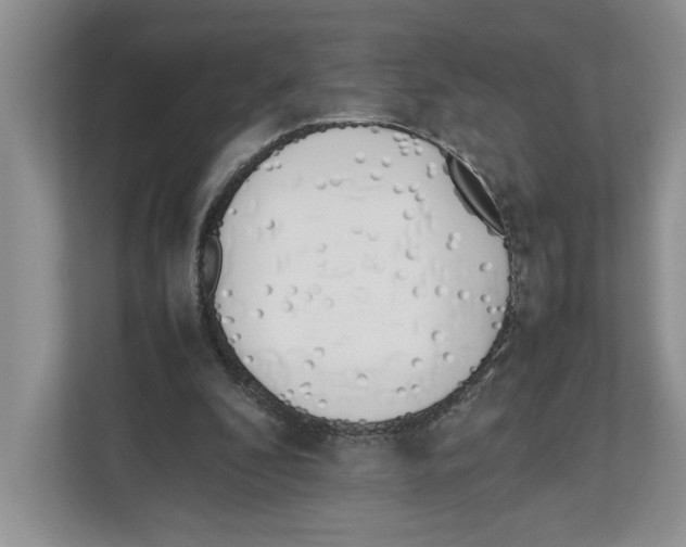 X0000112490296200909141209