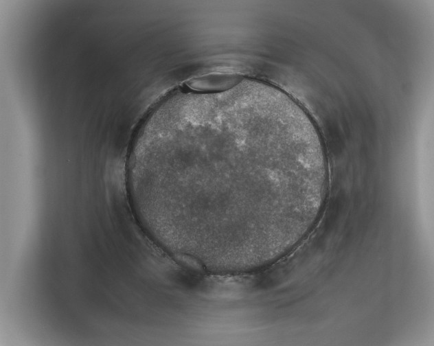 X0000112490297200909141209