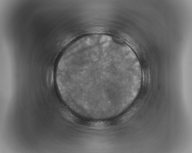 X0000112490301200909141209