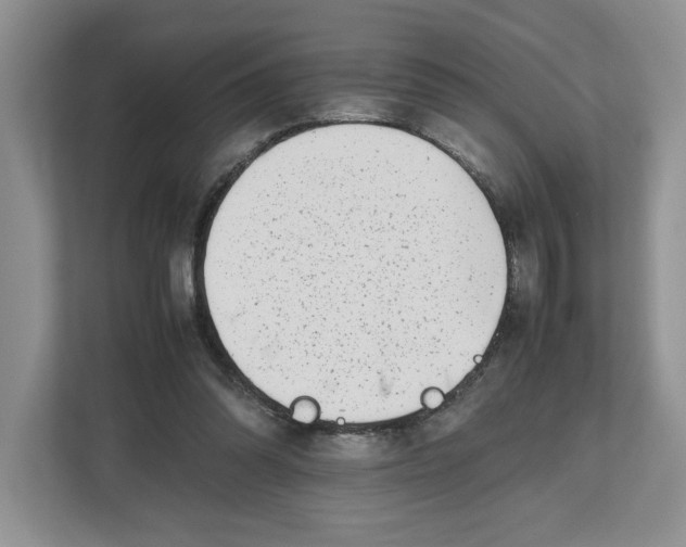 X0000112490302200909141209