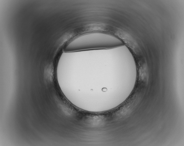 X0000112490304200909141209