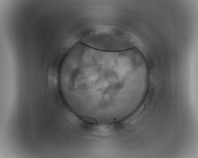 X0000112490305200909141209