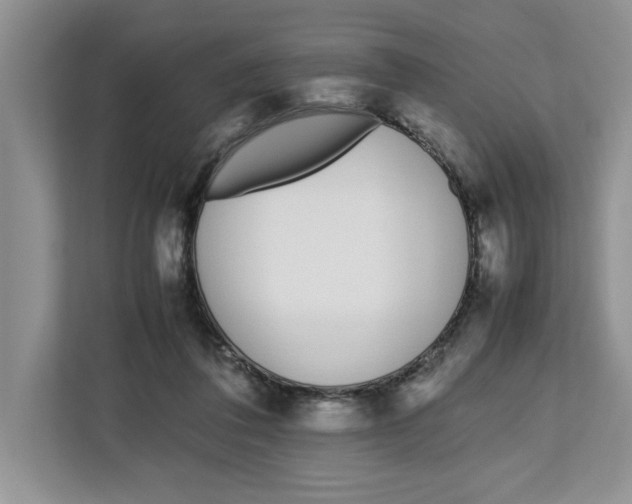 X0000112490308200909141209