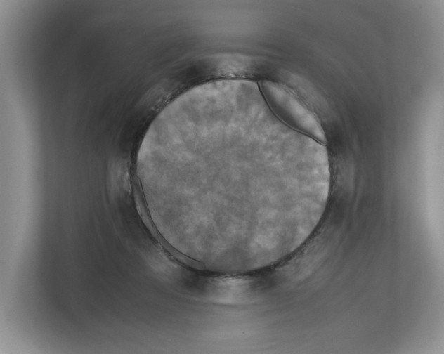 X0000112490313200909141209