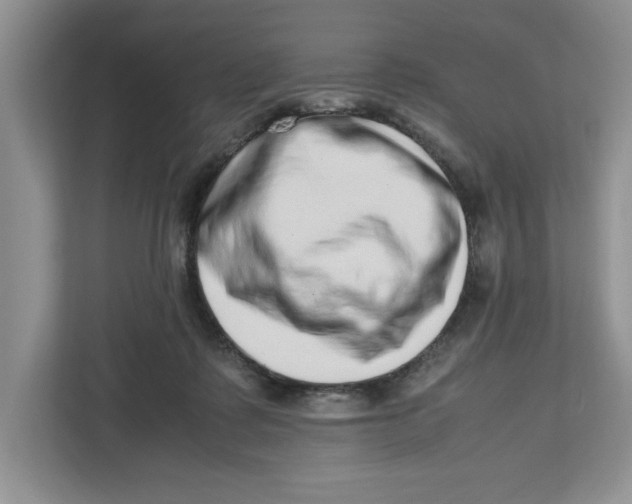 X0000112490315200909141209