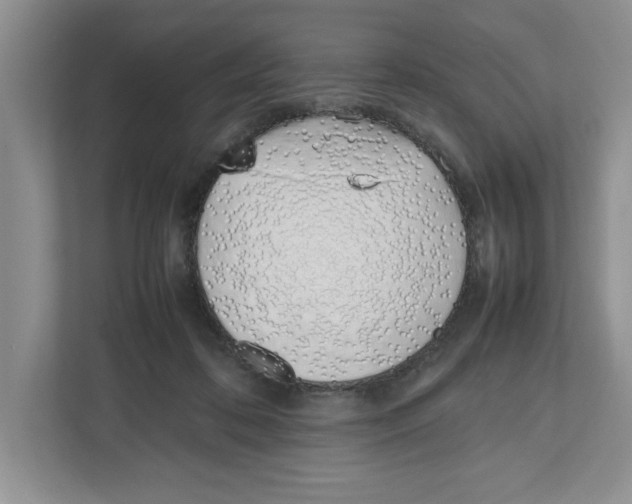 X0000112490316200909141209