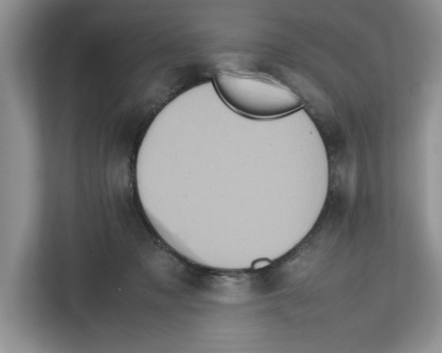 X0000112490317200909141209
