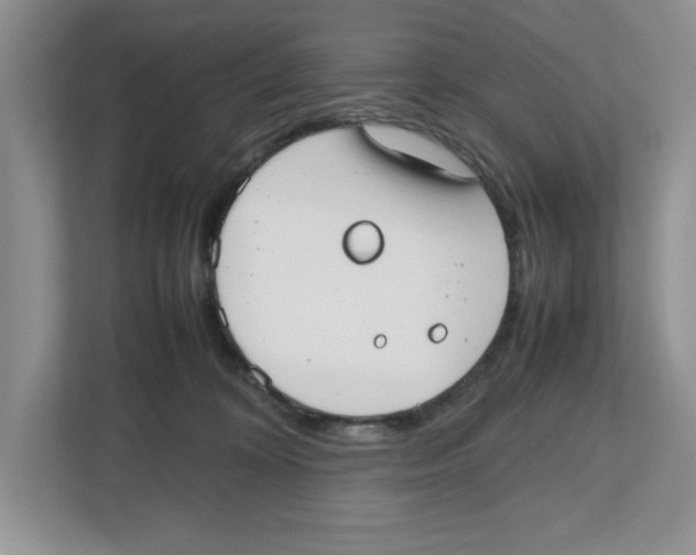 X0000112490324200909141209