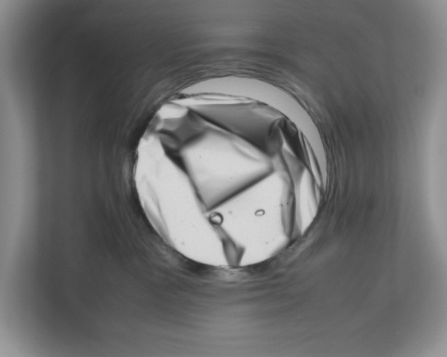 X0000112490333200909141209