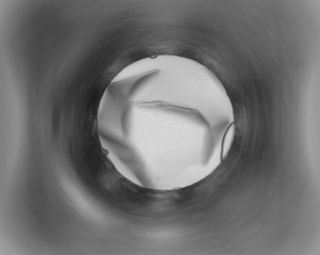 X0000112490334200909141209