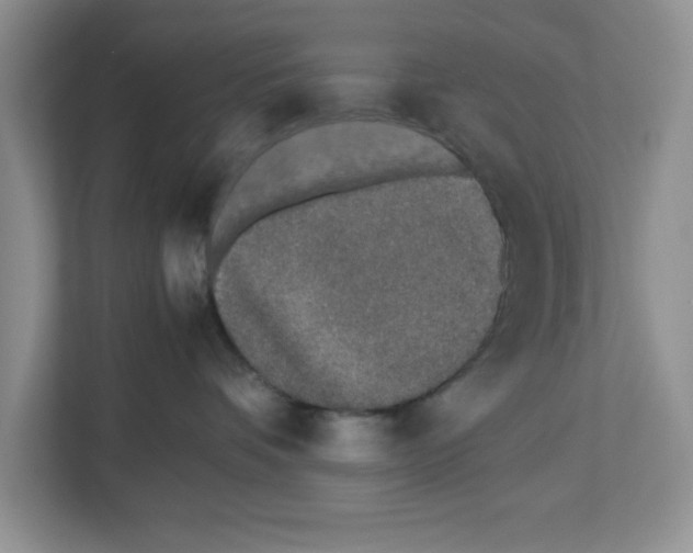 X0000112490336200909141209