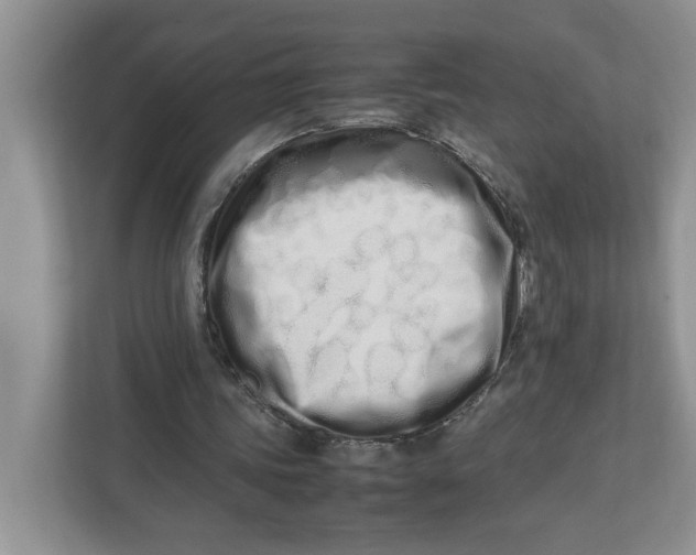 X0000112490339200909141208