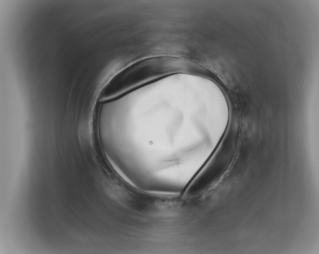 X0000112490340200909141208