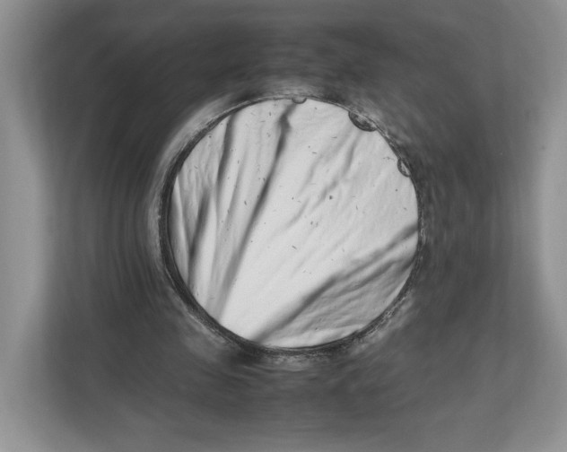 X0000112490341200909141208