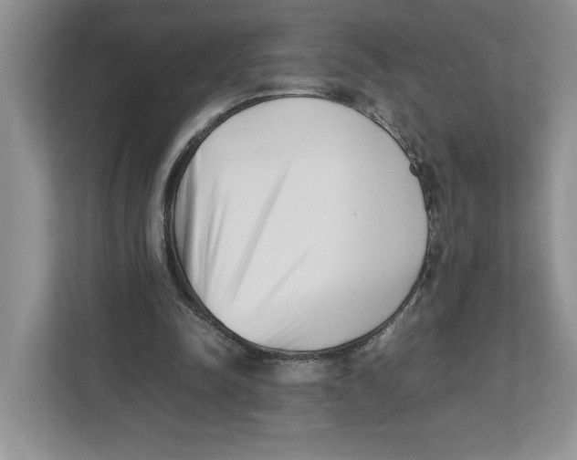 X0000112490342200909141208